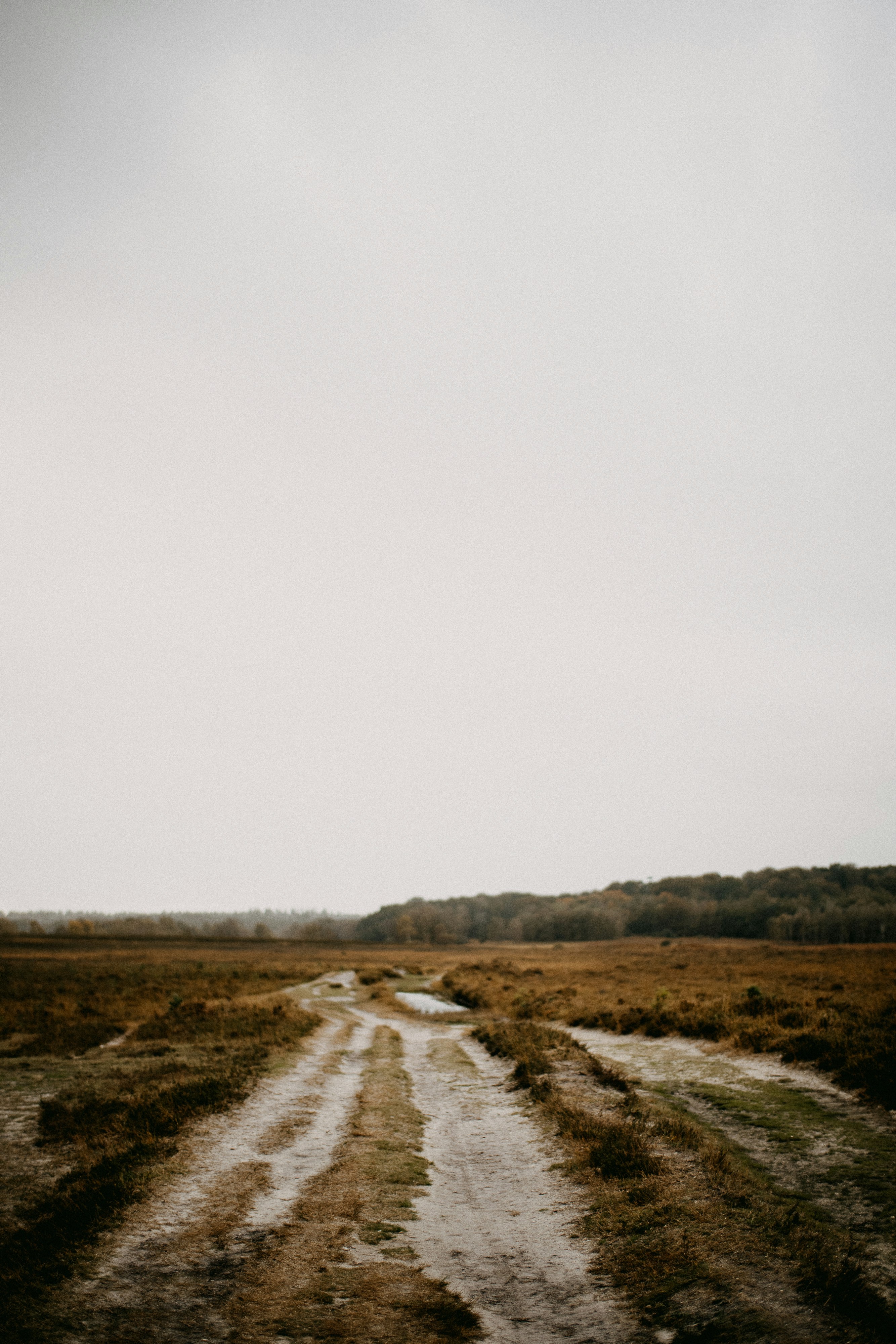 Photo by anniespratt