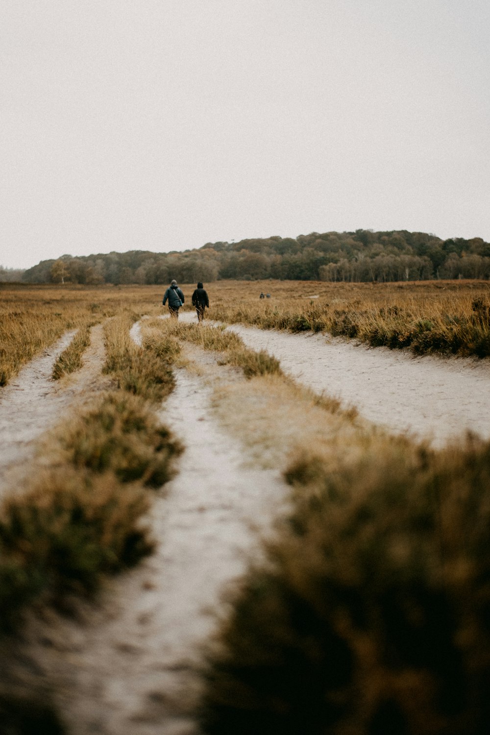 um casal de pessoas andando por uma estrada de terra