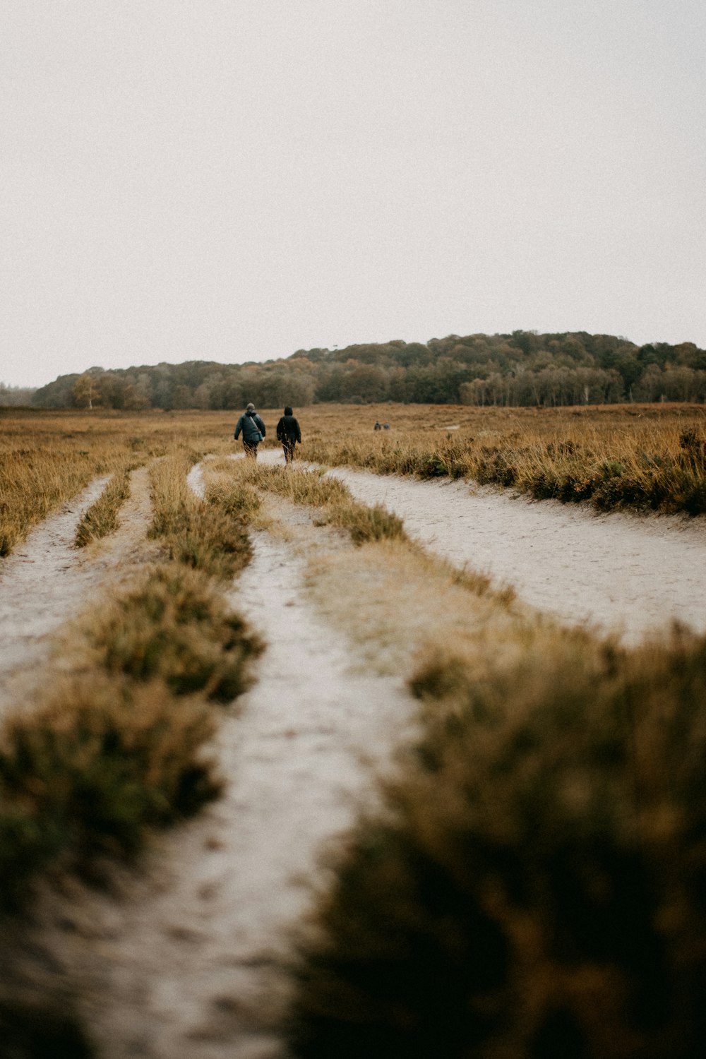 Un par de personas caminando por un camino de tierra