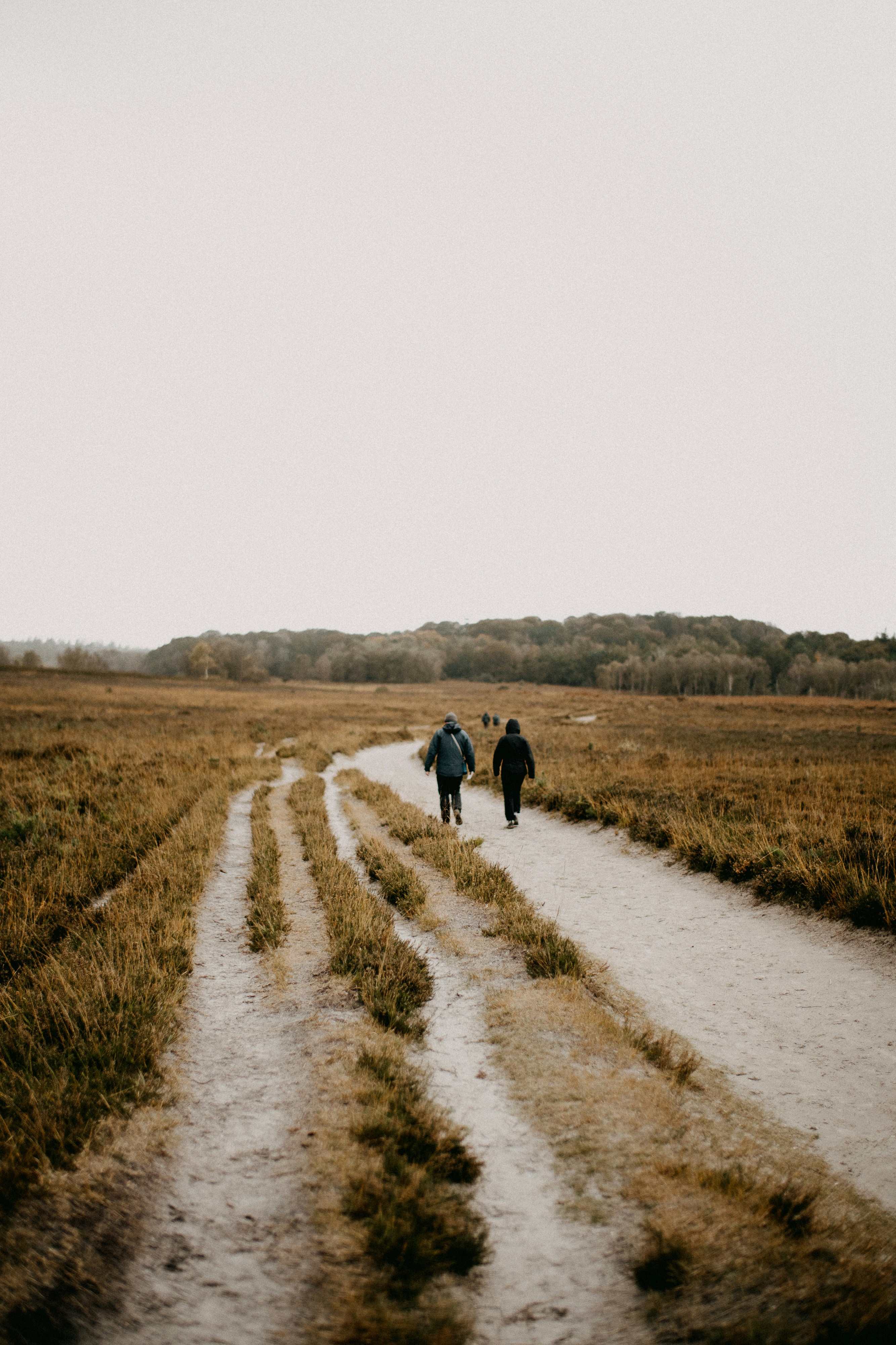 Photo by anniespratt