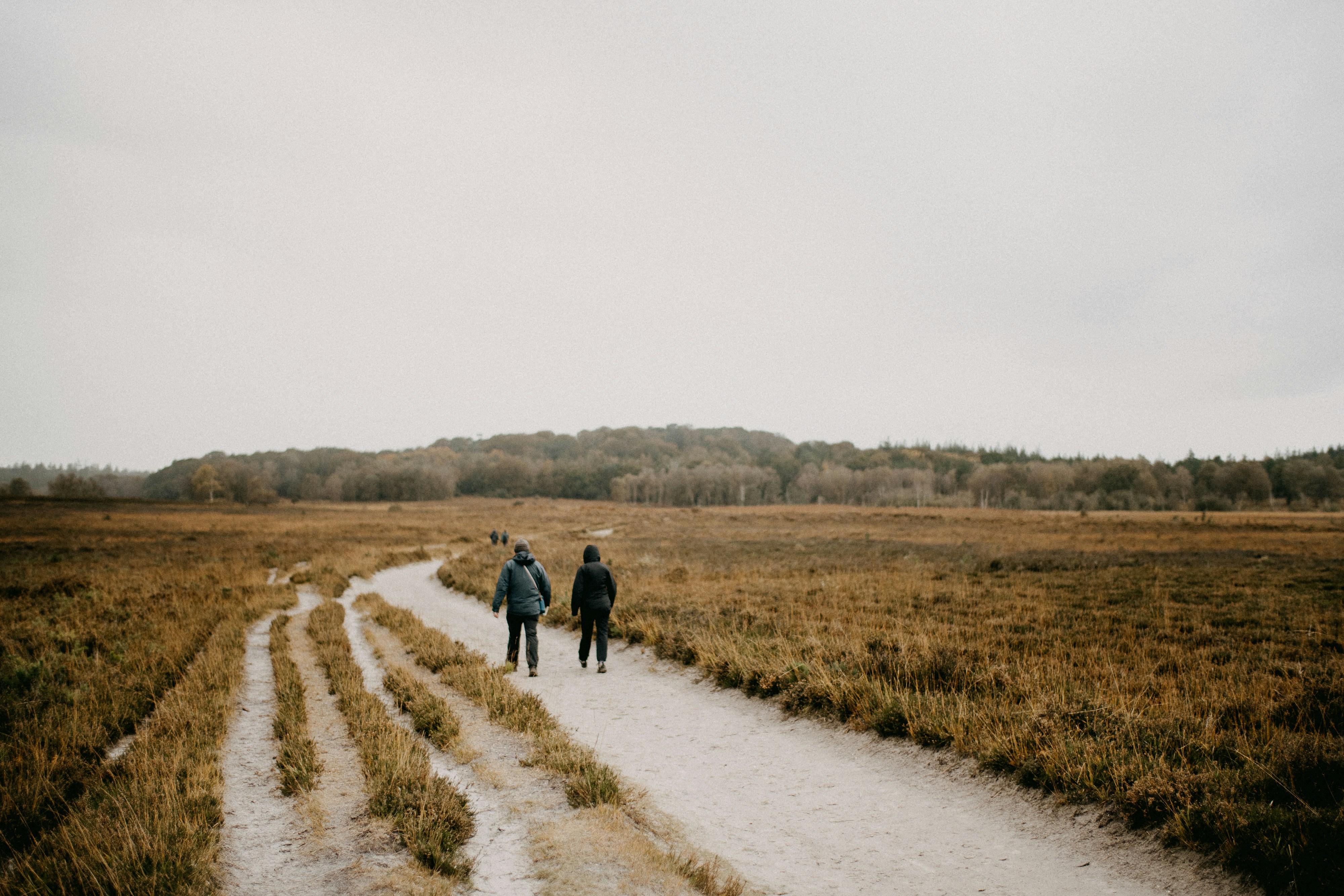 Photo by anniespratt