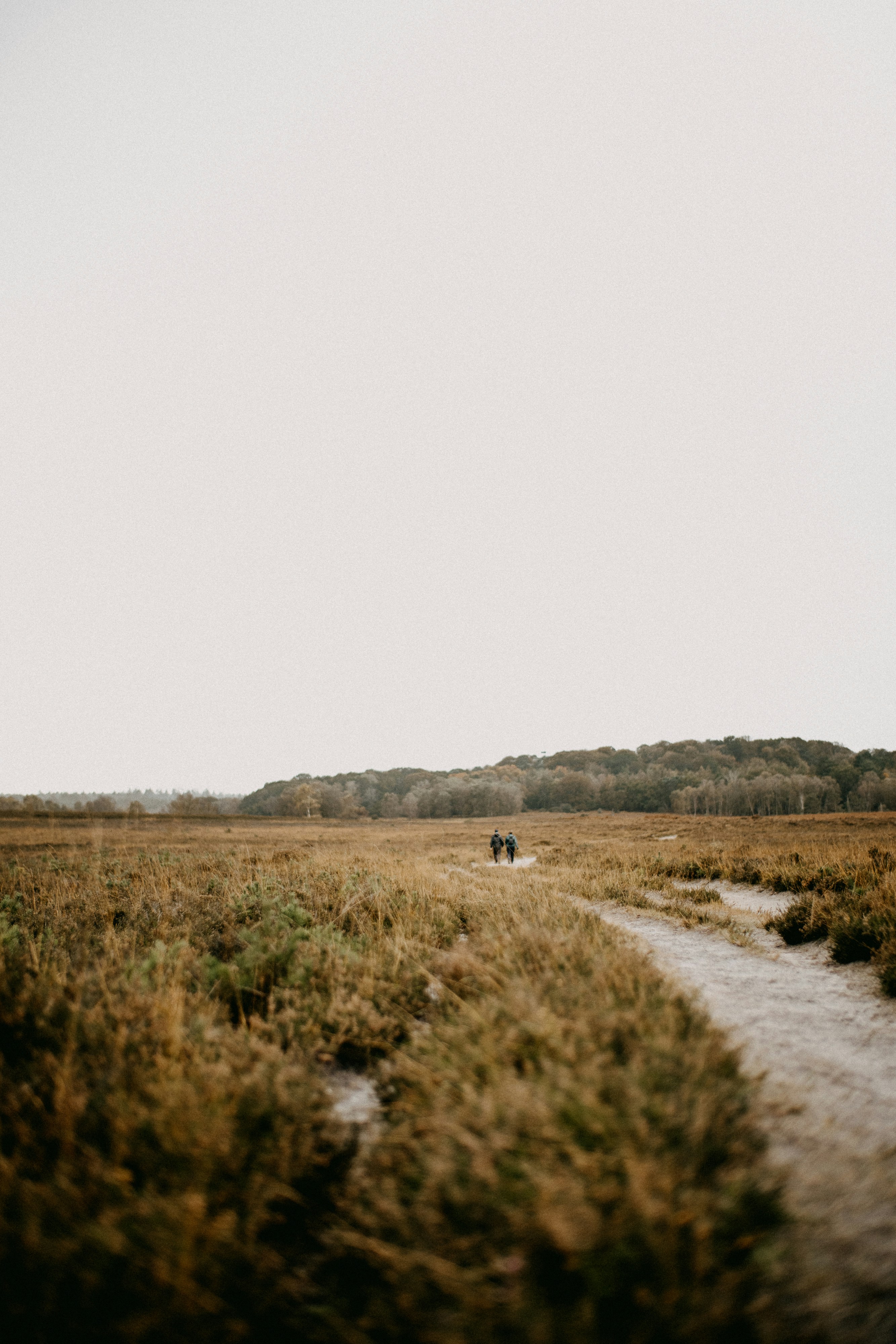 Photo by anniespratt