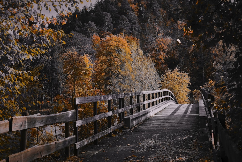 an empty park bench next to a fence