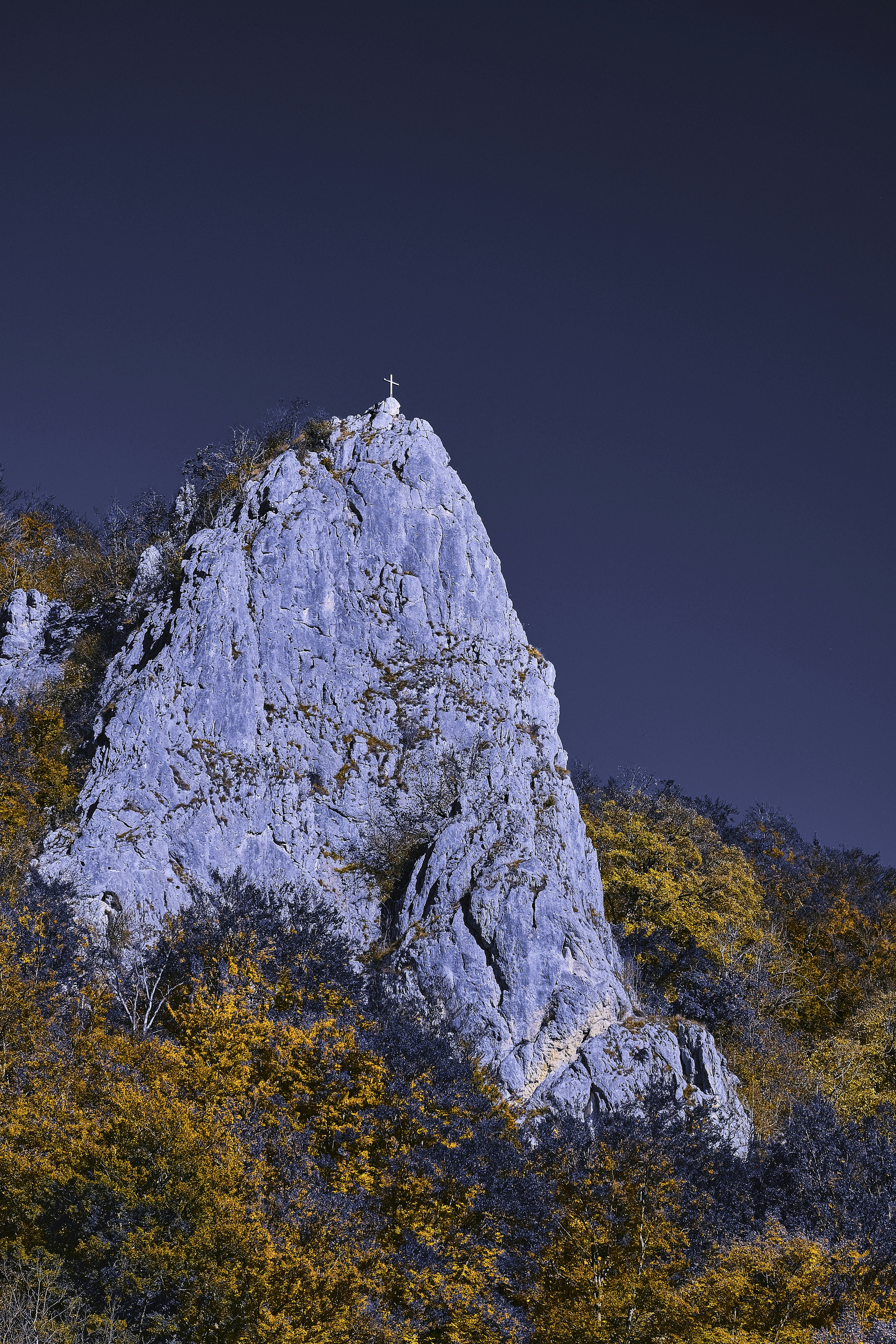 Photo by rolf_schmidbauer