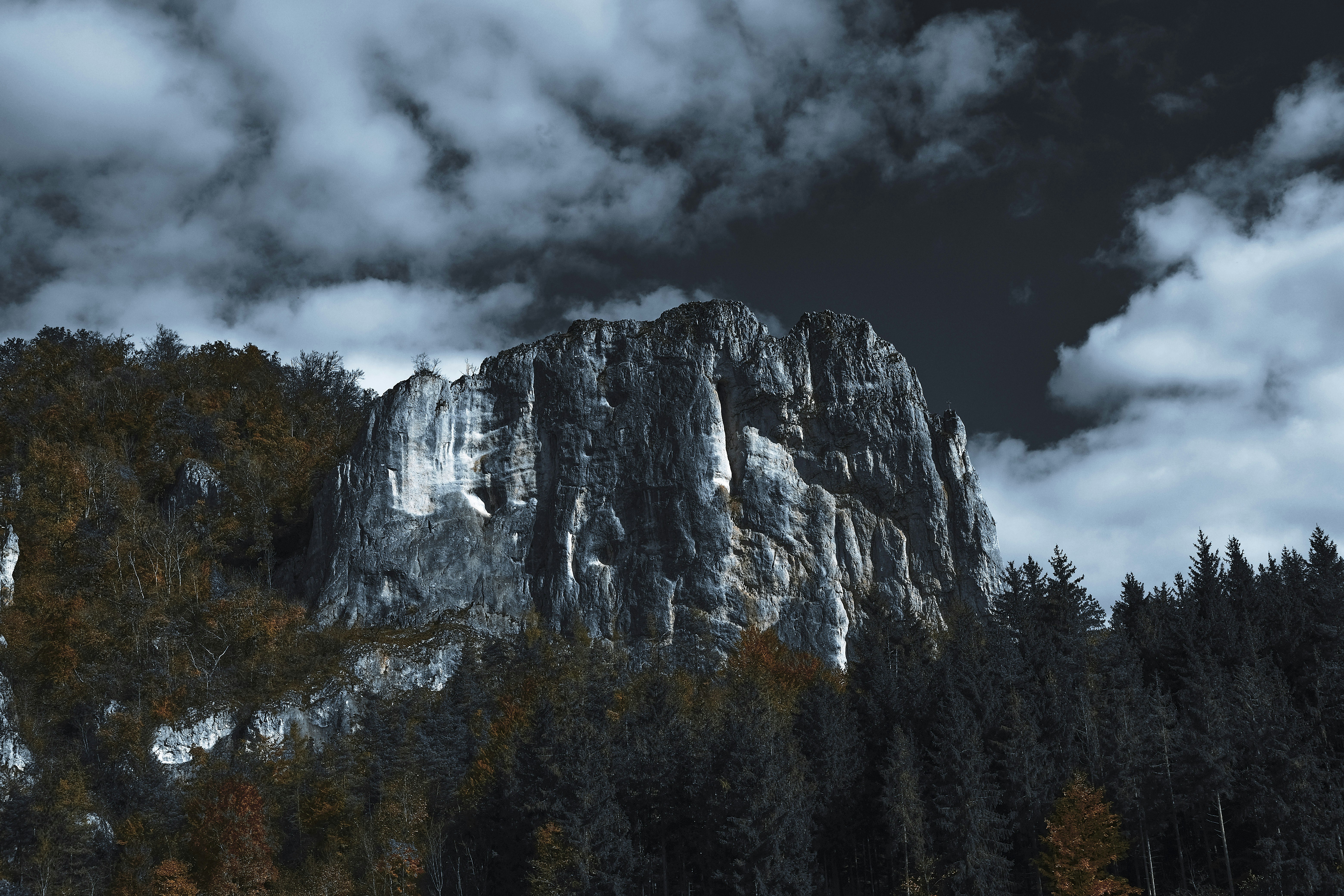 One Color Background Pictures | Download Free Images on Unsplash