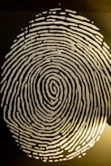 A highly detailed black and white depiction of a fingerprint is seen, set against a dark background. The fingerprint lines are bold and vary in thickness, with a noticeable swirl pattern at its center. The lighting enhances the contrast between the fingerprint and the background, creating a striking visual effect.