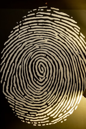 A highly detailed black and white depiction of a fingerprint is seen, set against a dark background. The fingerprint lines are bold and vary in thickness, with a noticeable swirl pattern at its center. The lighting enhances the contrast between the fingerprint and the background, creating a striking visual effect.