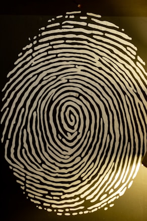 A highly detailed black and white depiction of a fingerprint is seen, set against a dark background. The fingerprint lines are bold and vary in thickness, with a noticeable swirl pattern at its center. The lighting enhances the contrast between the fingerprint and the background, creating a striking visual effect.