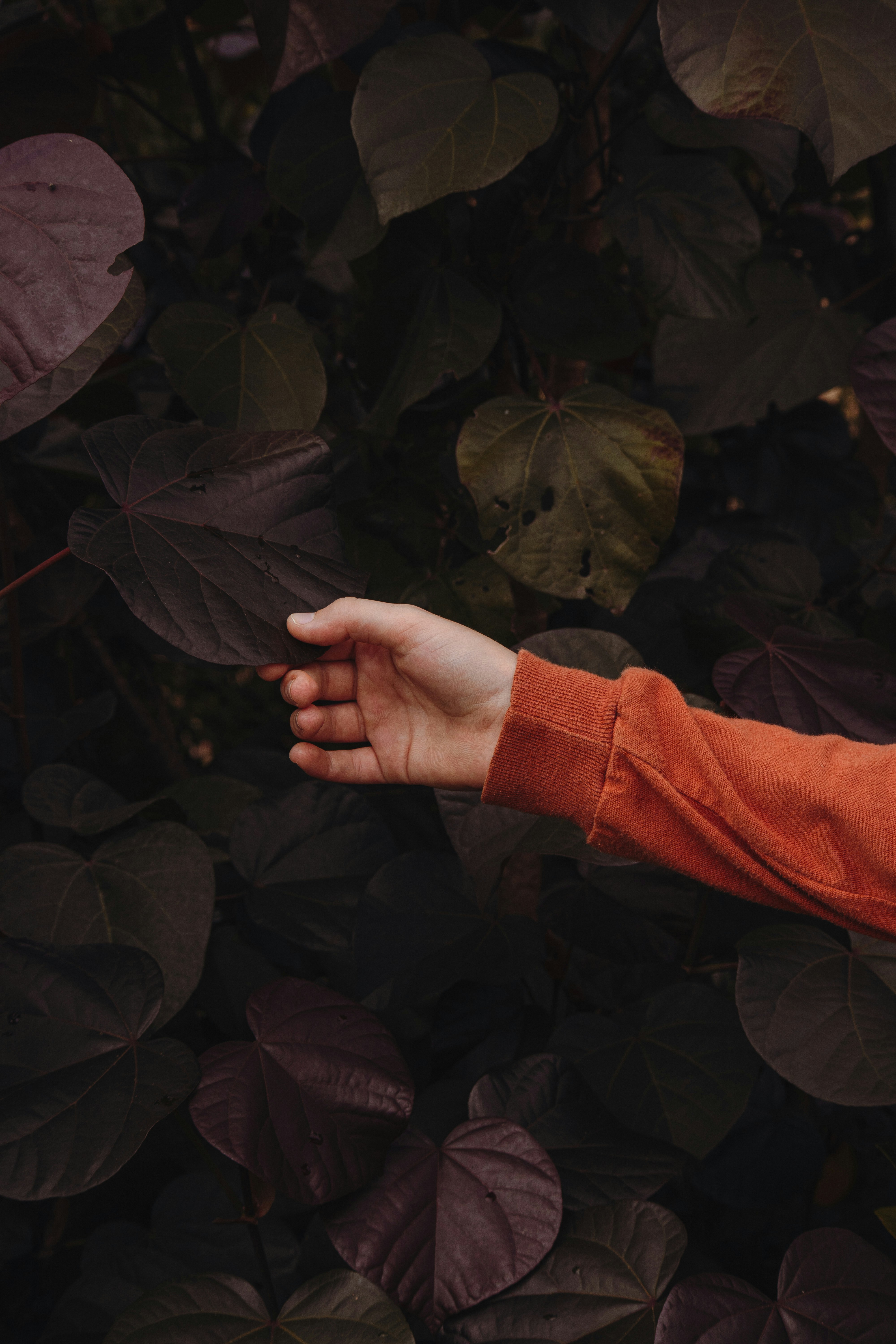 Photo by bennybleaksphotoandfilm