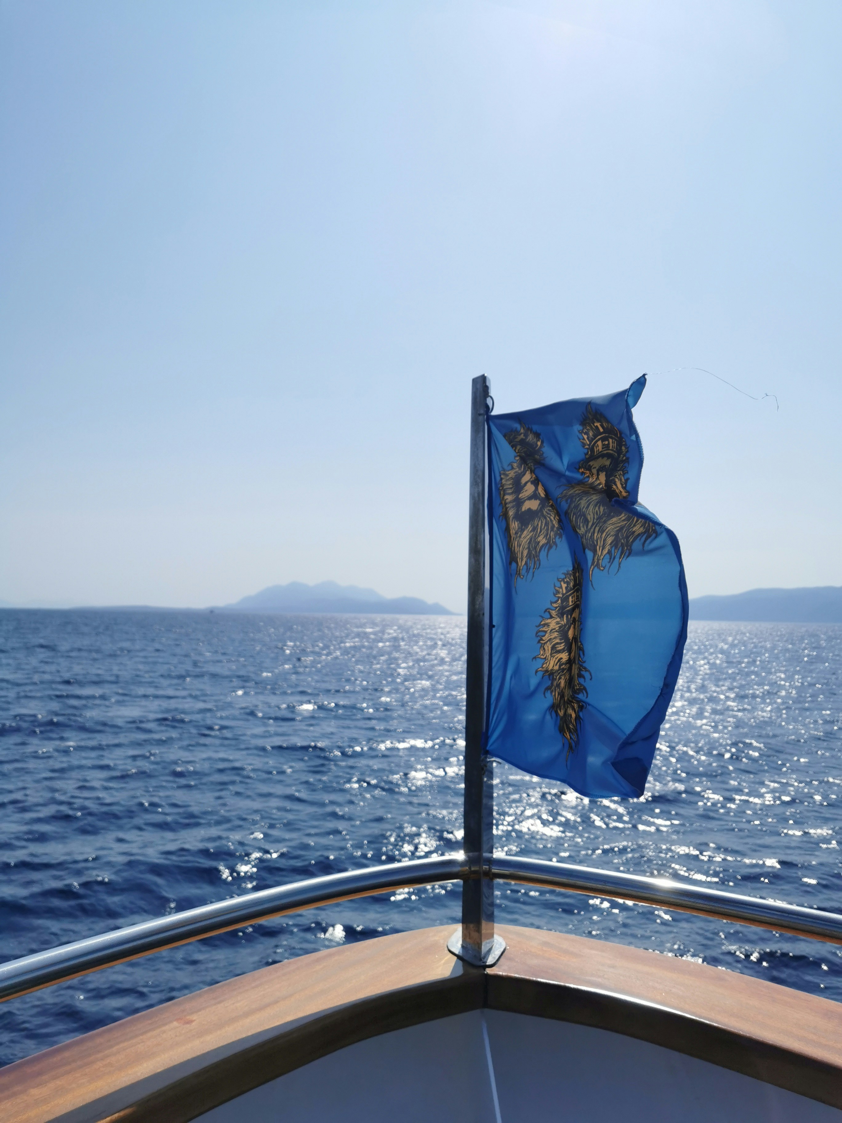 A blue flag on a boat in the ocean photo Free Symbol Image on Unsplash