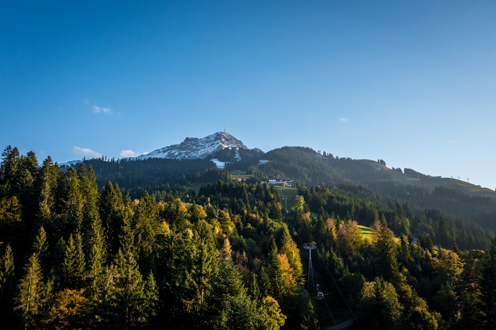 a view of a mountain with trees in the foreground