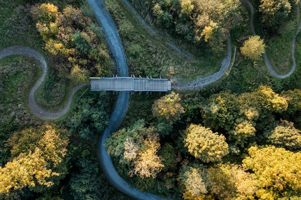 a winding road in the middle of a forest