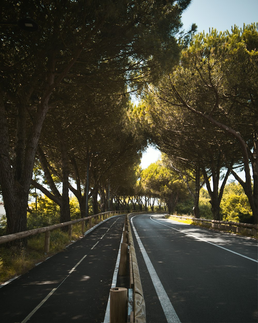 an empty road with trees lining both sides