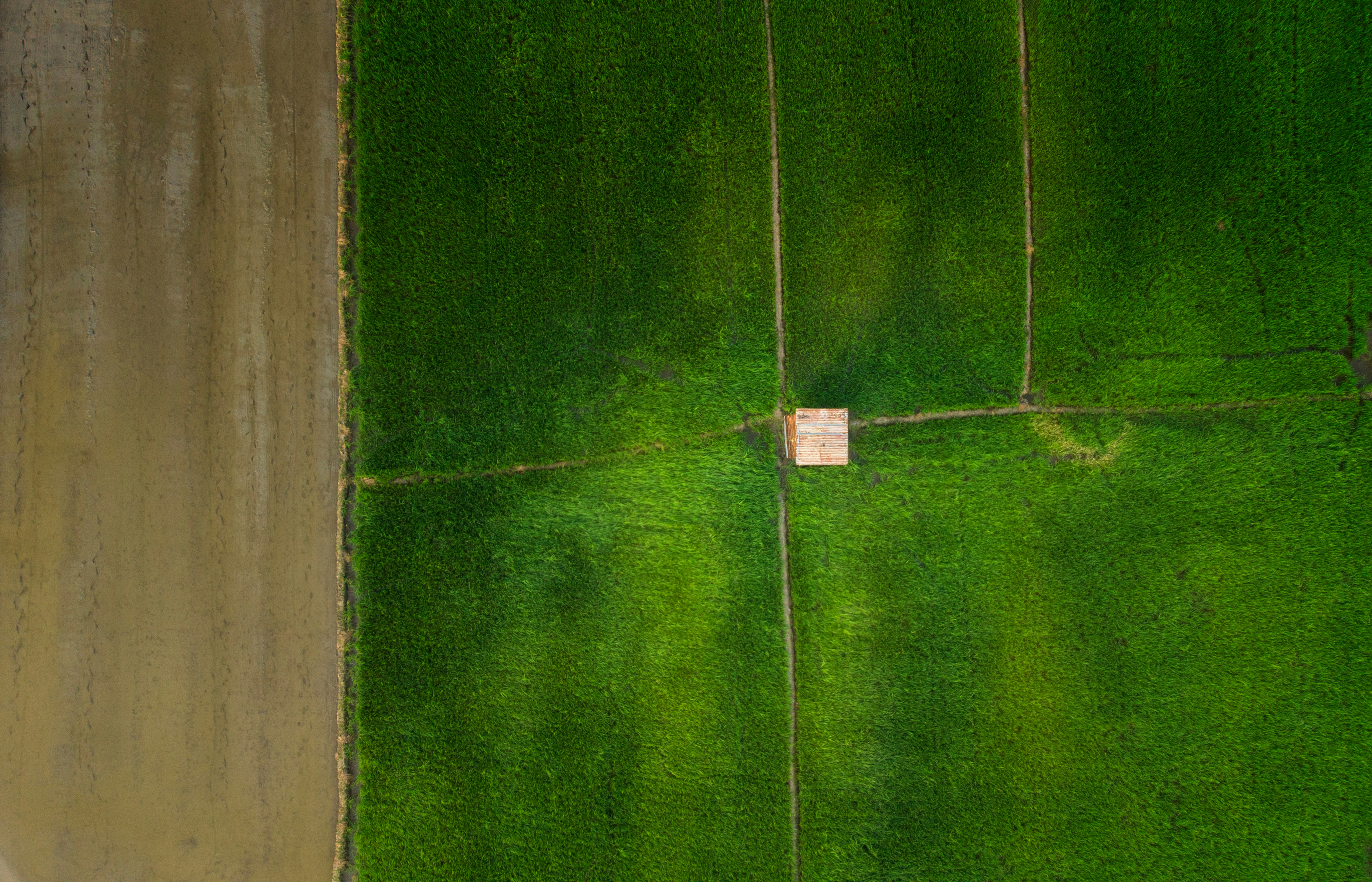 Photo by abuzahrapic