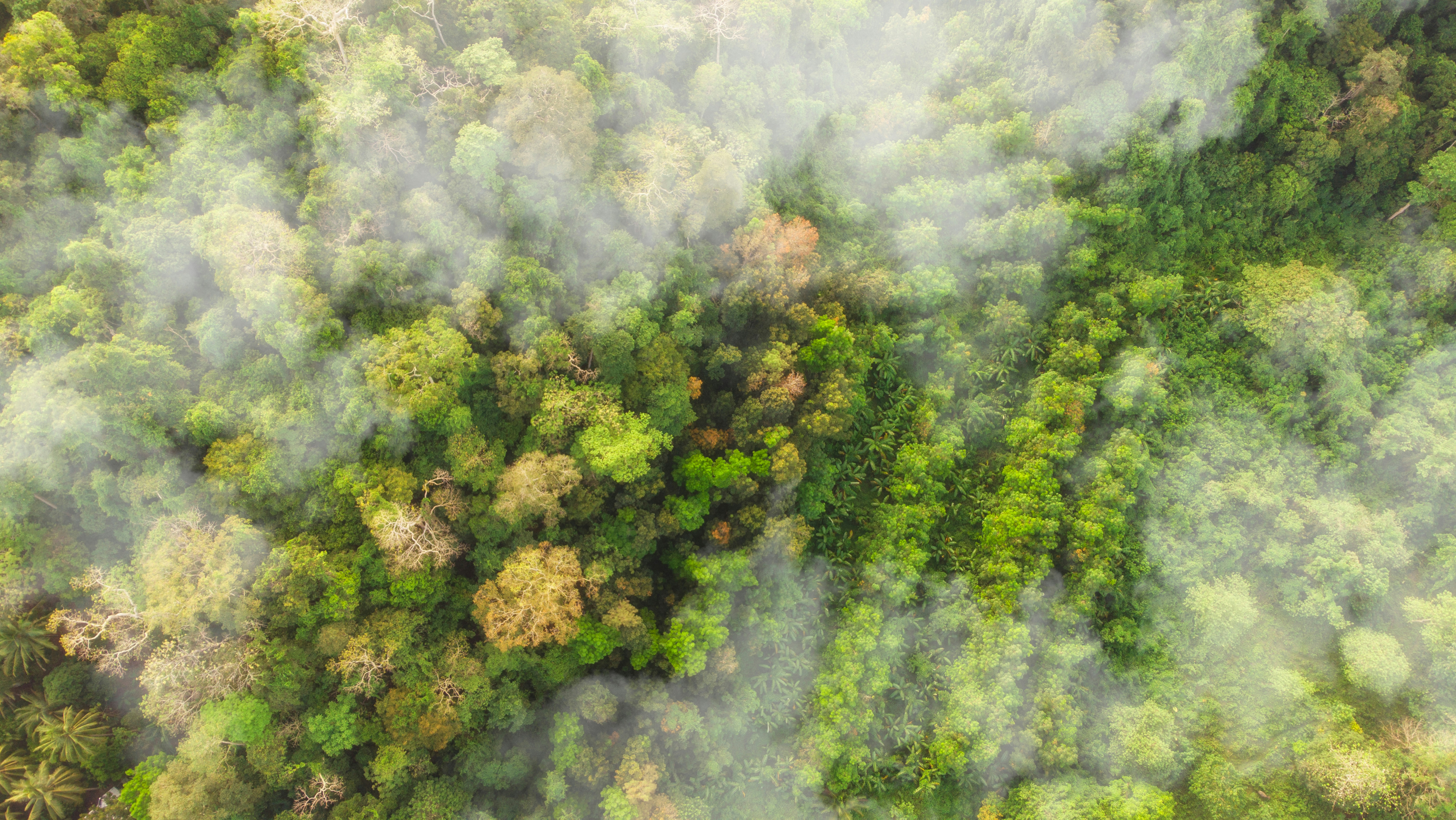 Photo by abuzahrapic