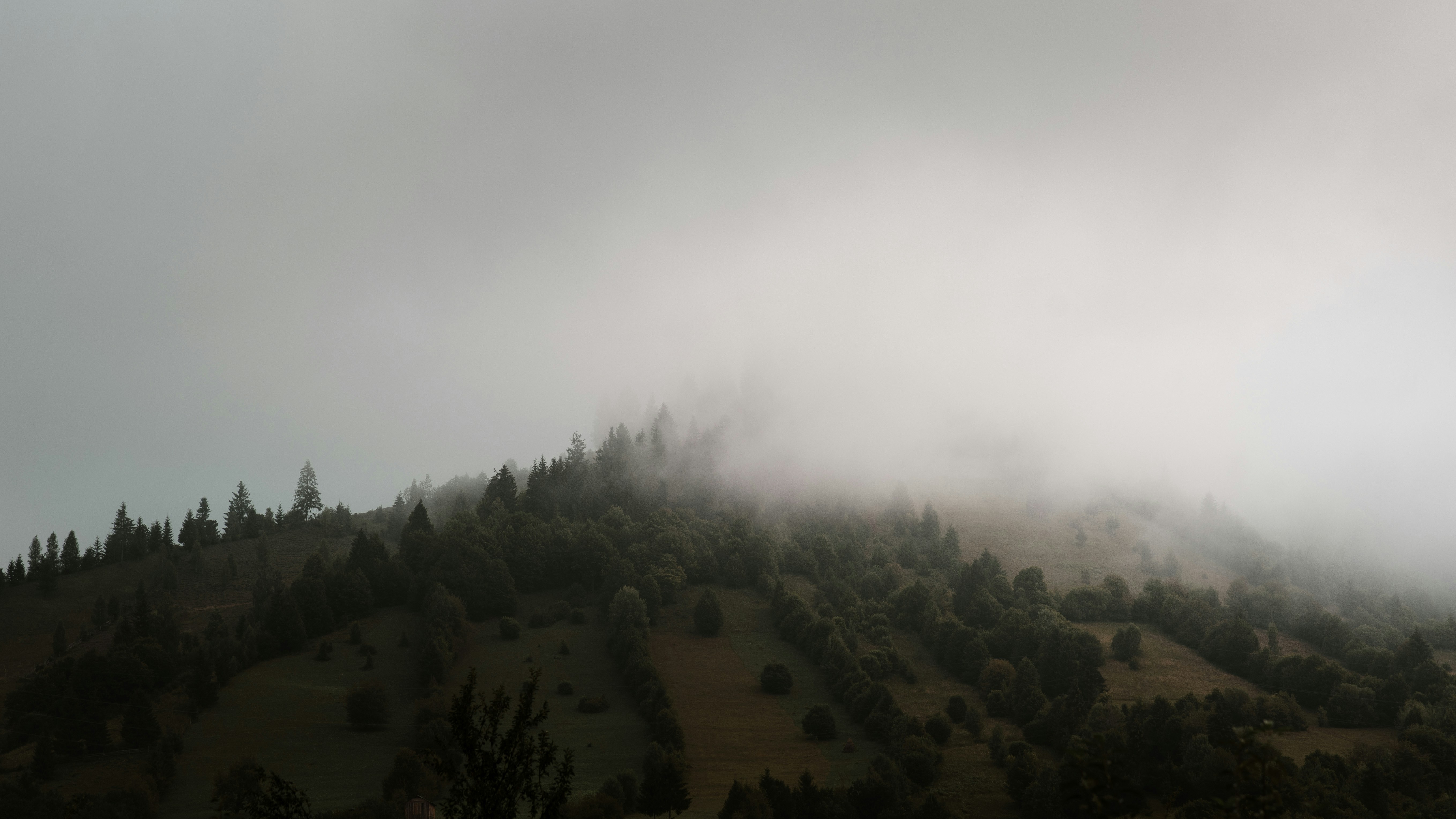 Photo by simiondaniel28