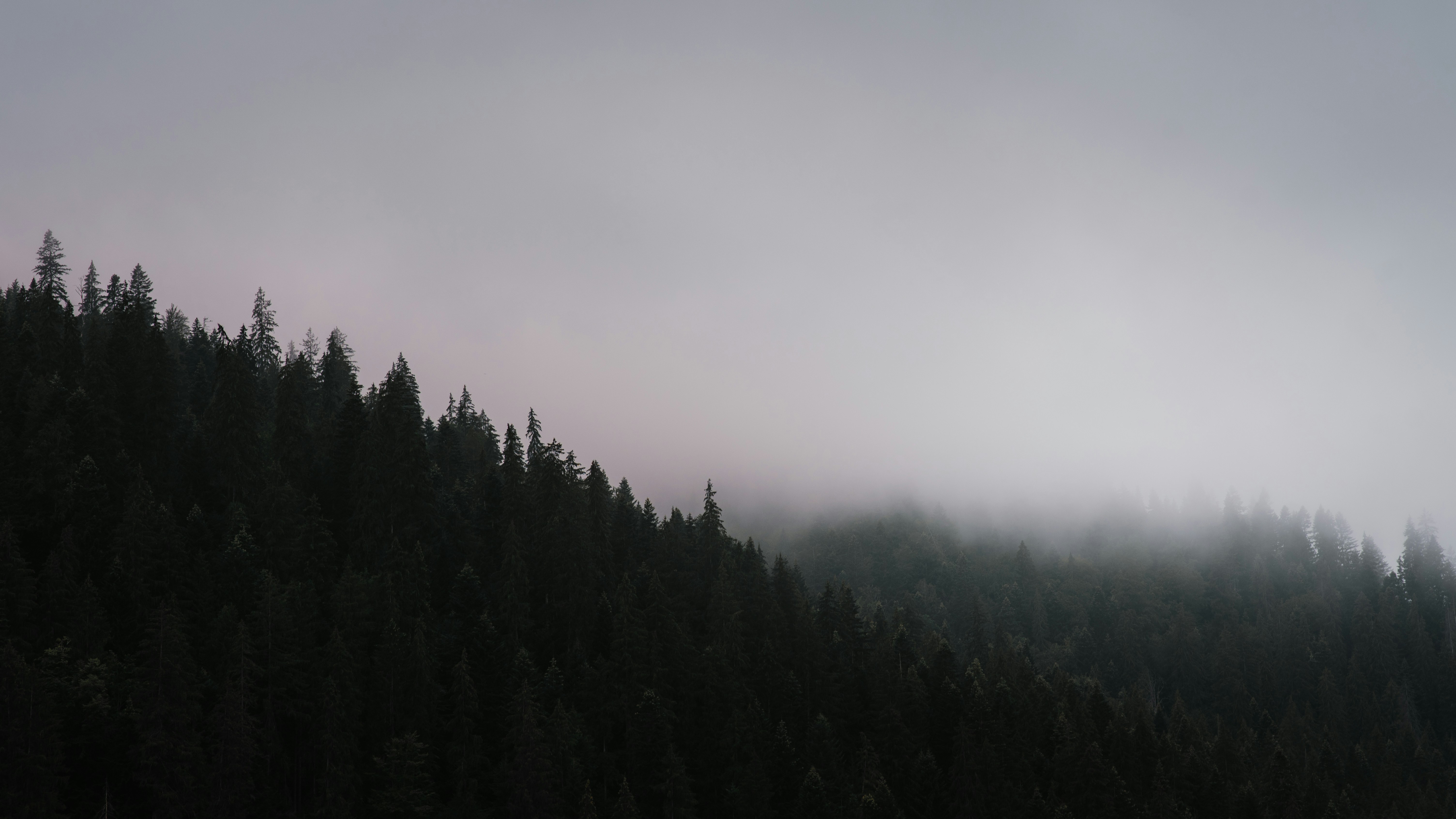 Photo by simiondaniel28