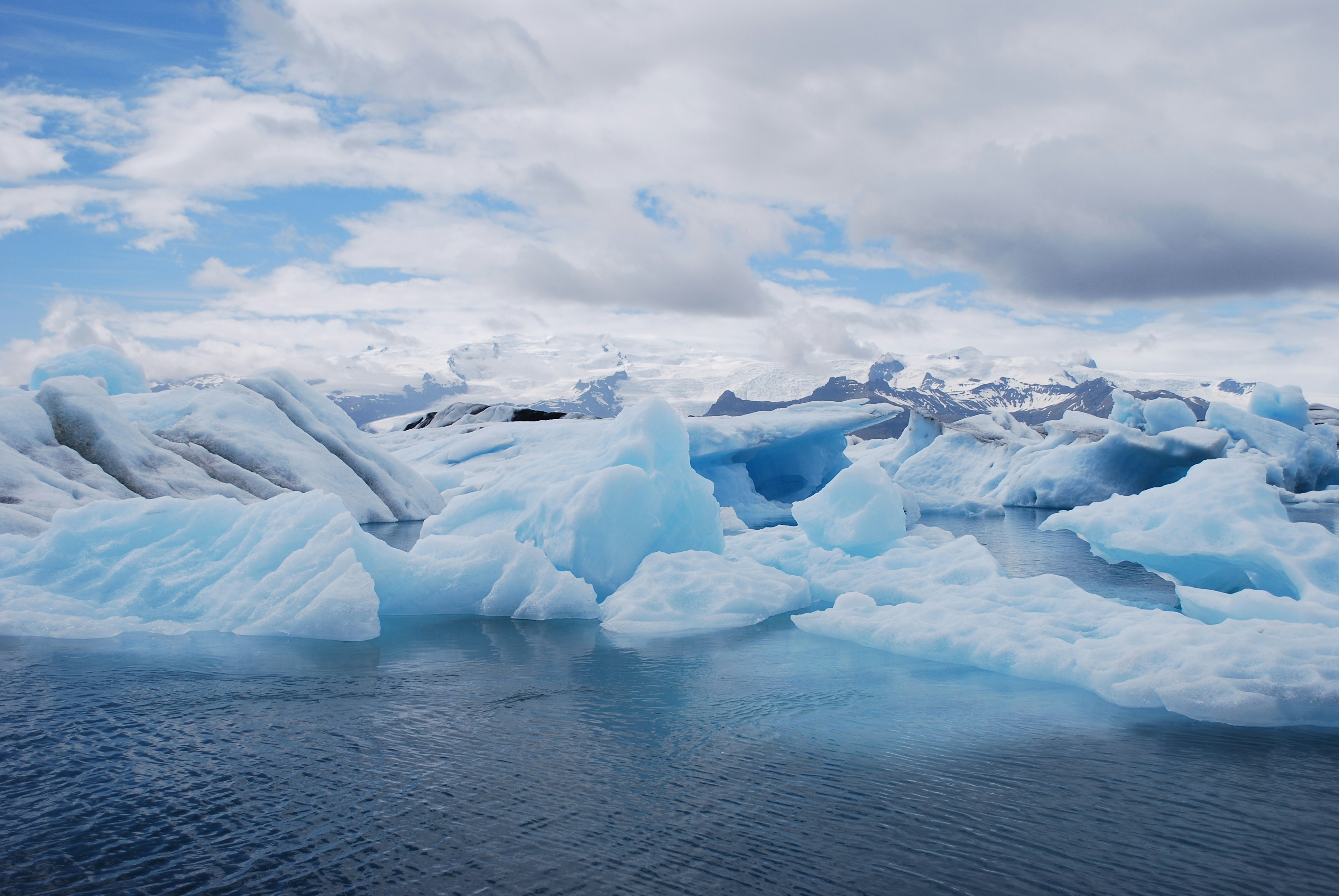 Photo by lwvmuscatine