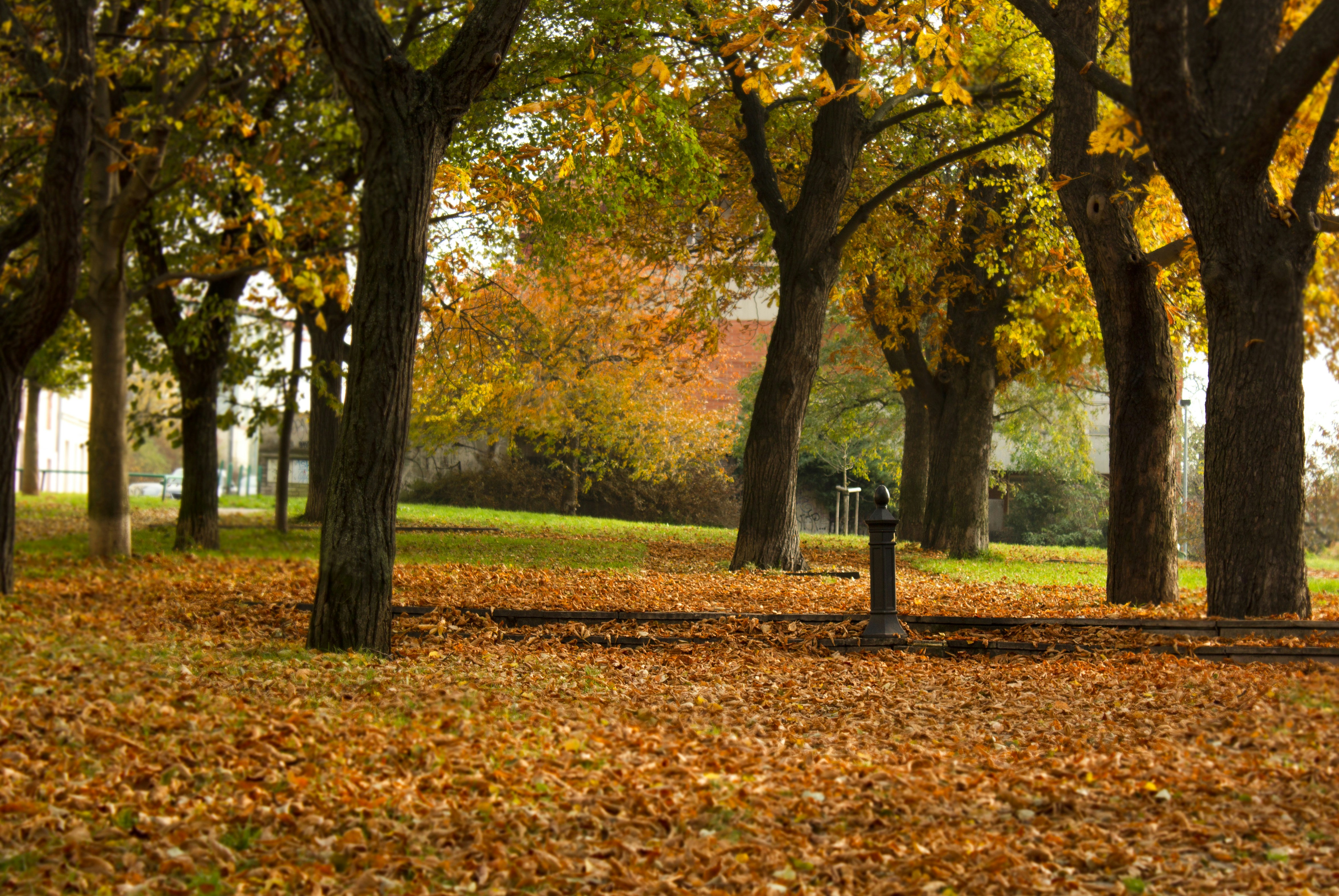 Photo by alexandra_zeglova