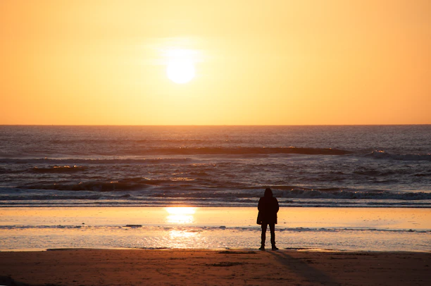 a person standing on a beach watching the sun set