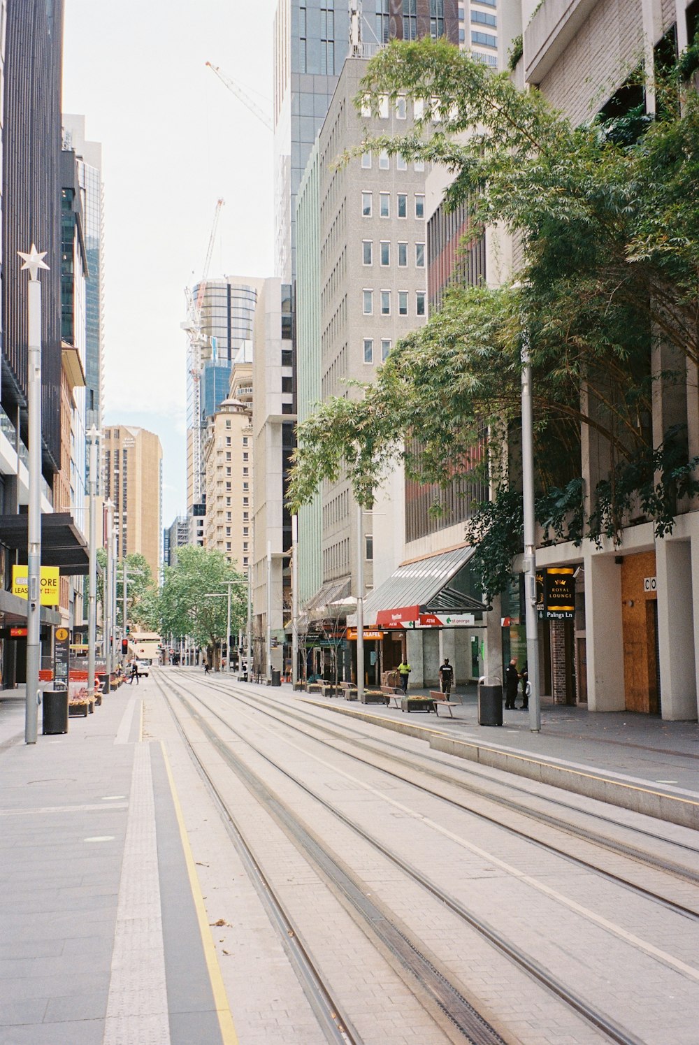 a city street lined with tall buildings and trees