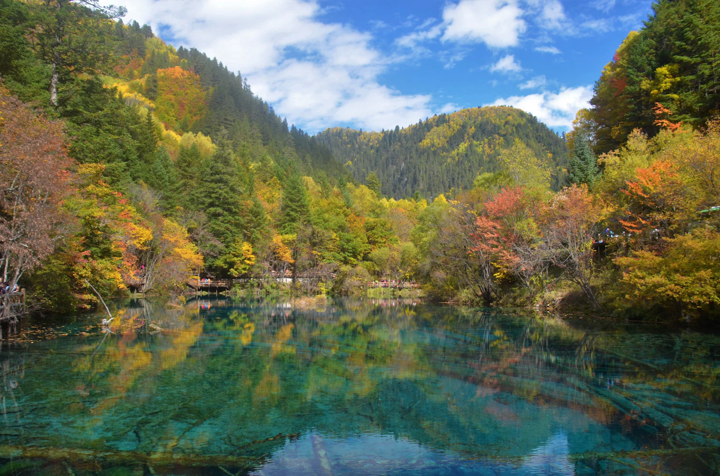 Bosque otoñal y río de aguas claras en el valle de Jiuzhaigou, Sichuan, China
