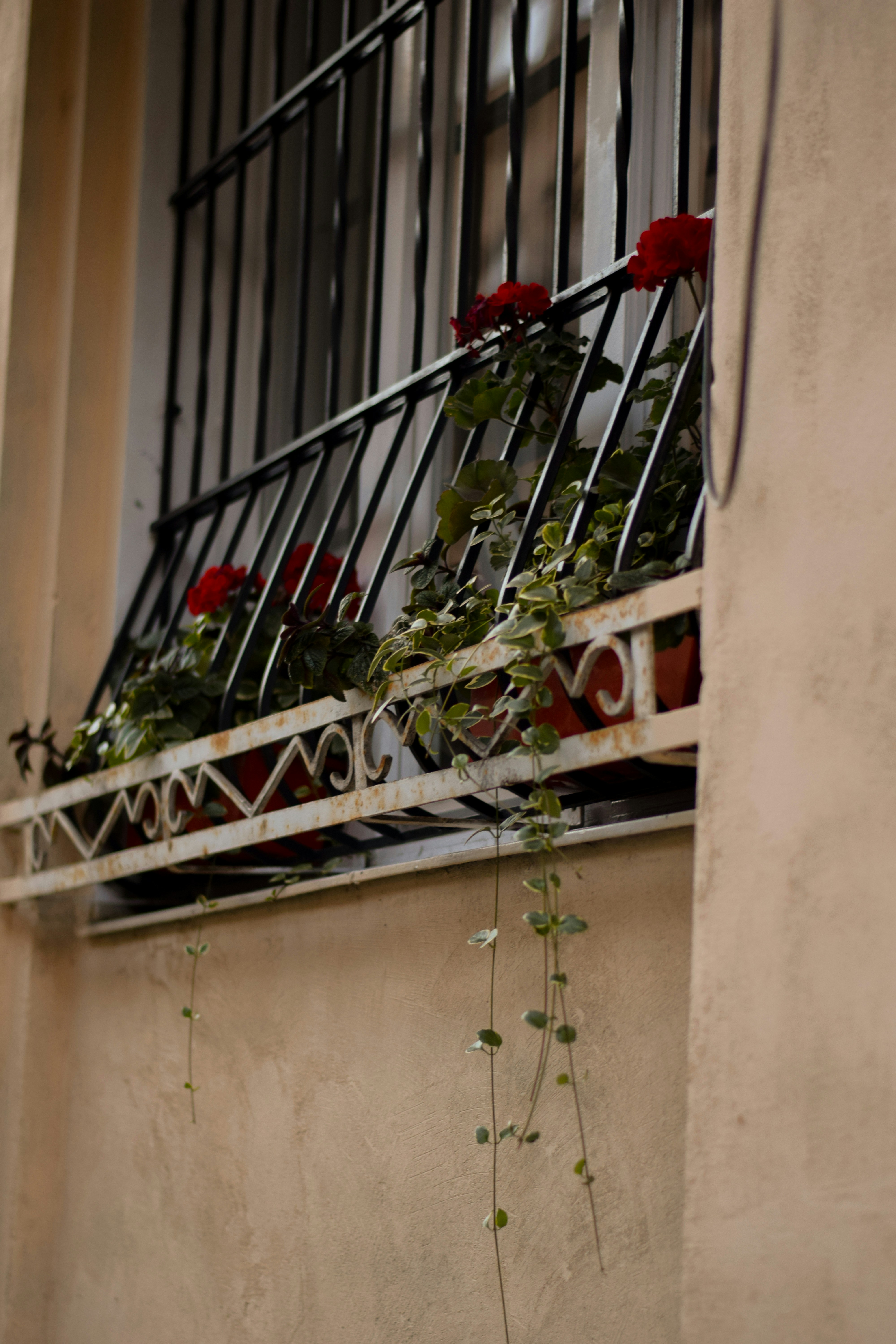 a window sill with a bunch of flowers on it