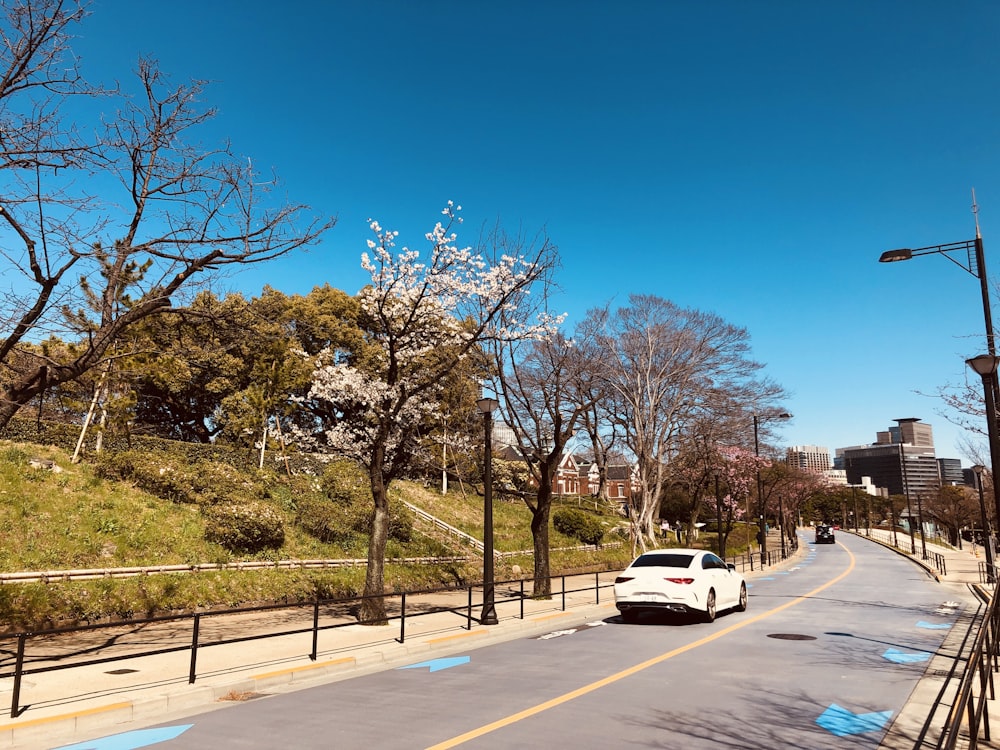 a white car driving down a street next to a lush green hillside