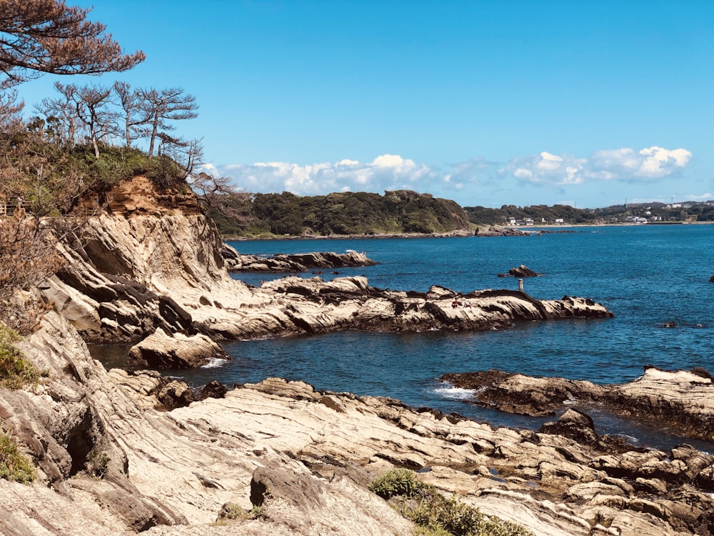 a body of water surrounded by rocks and trees