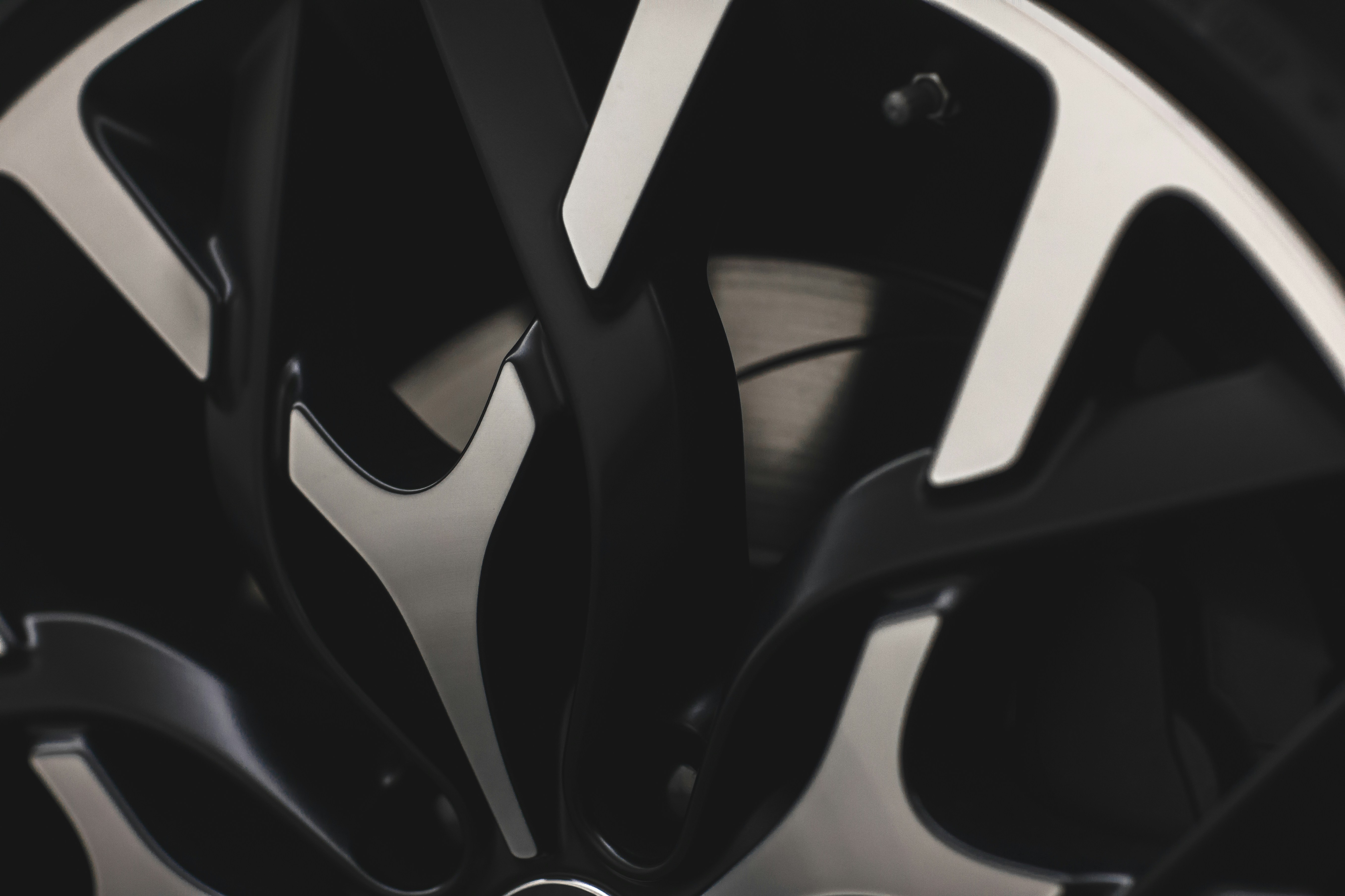 Photo by lighttouchedphotography