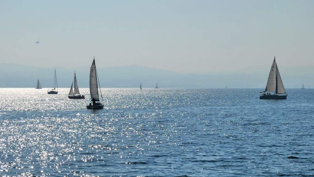 a group of sailboats floating on top of a large body of water