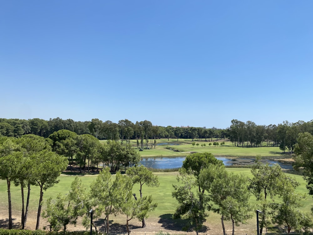 a golf course surrounded by trees and water