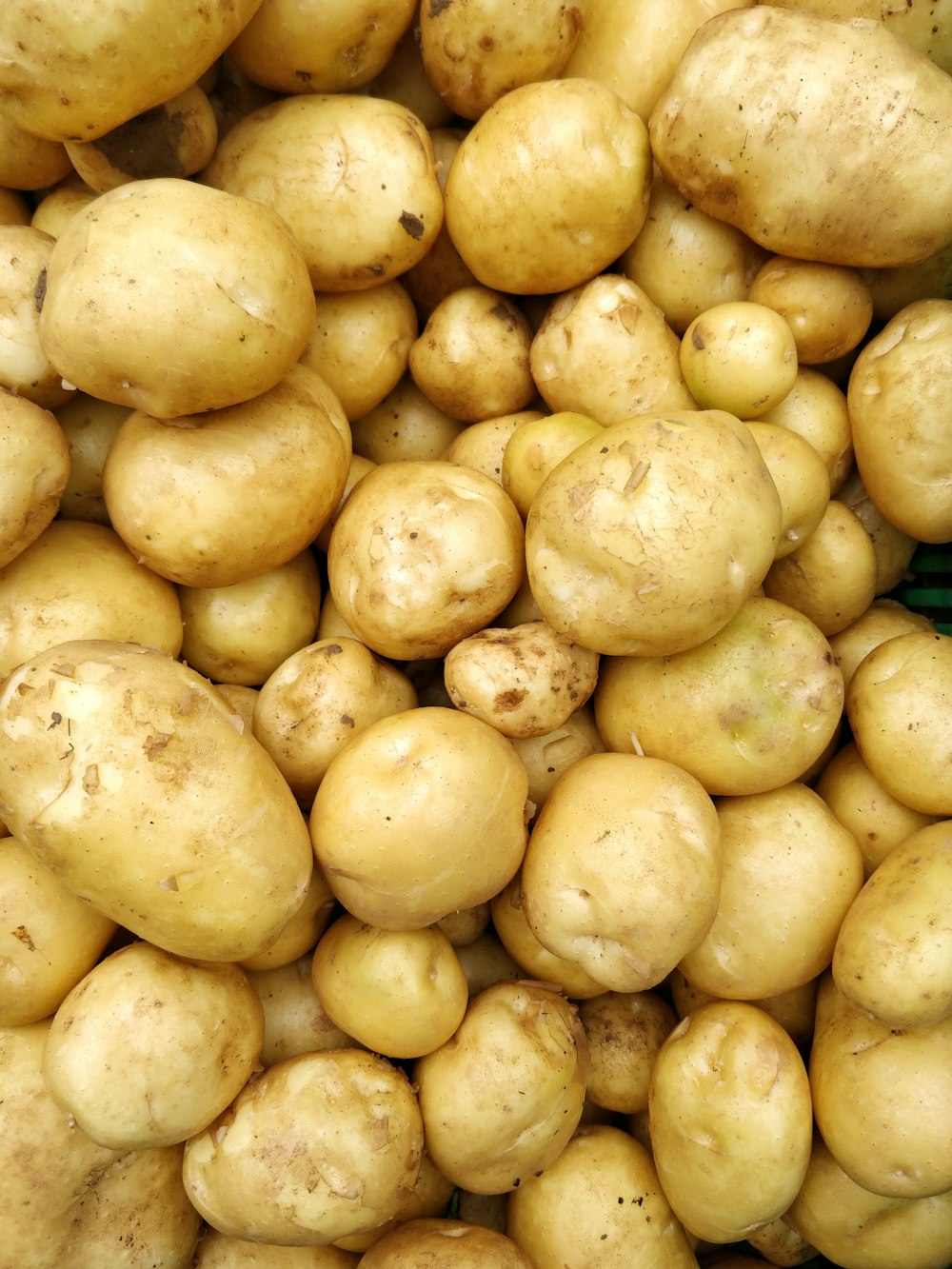 a pile of potatoes sitting next to each other