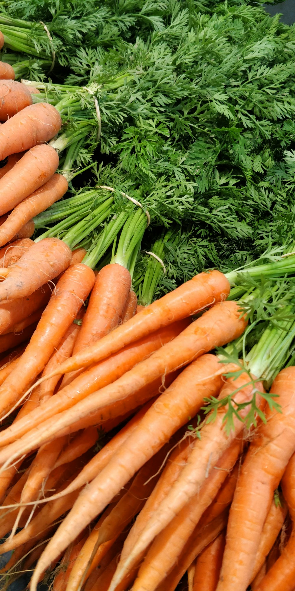 a pile of carrots sitting on top of a table