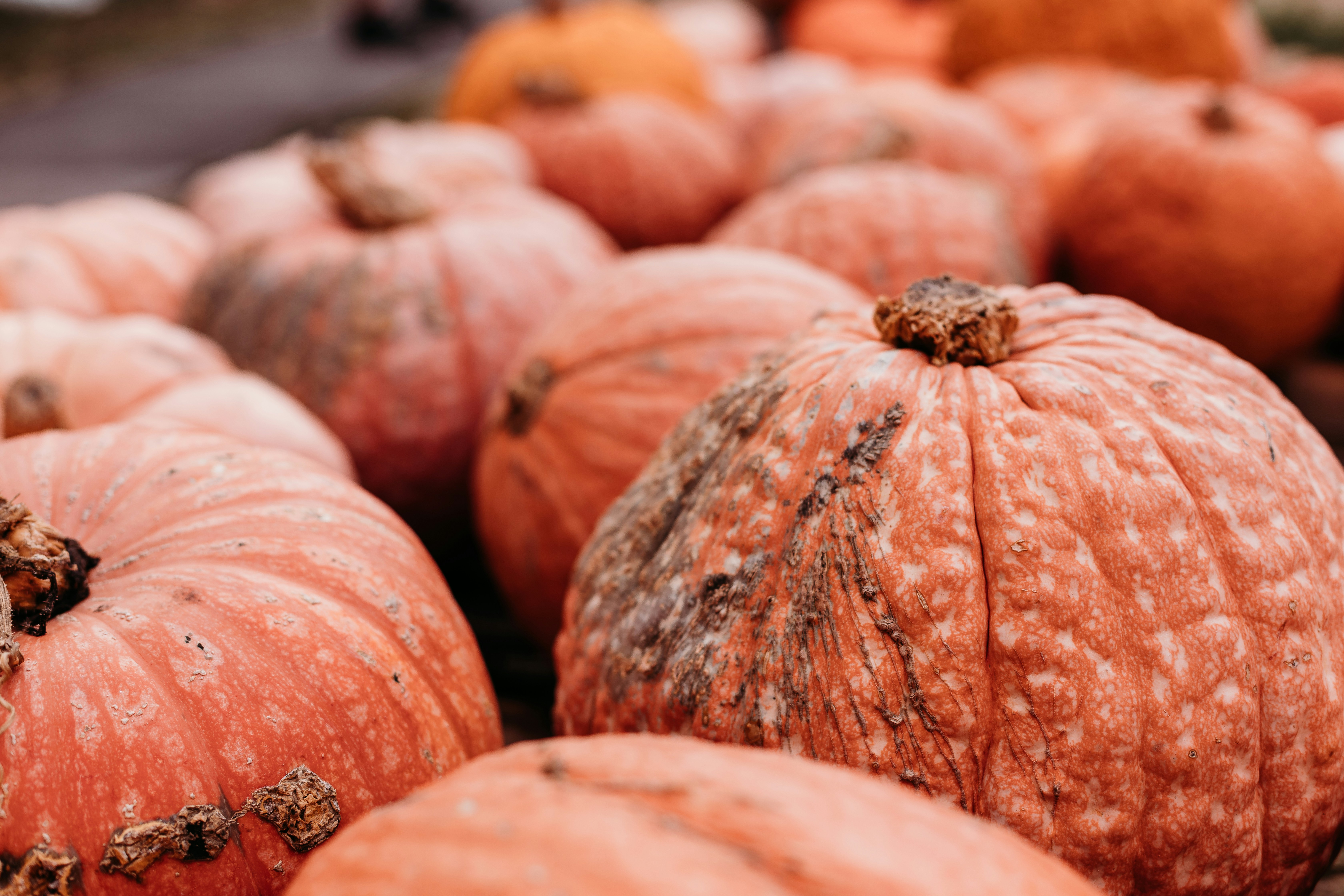 Photo by maciejonesphotography