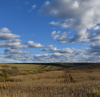 a field with a sky filled with clouds