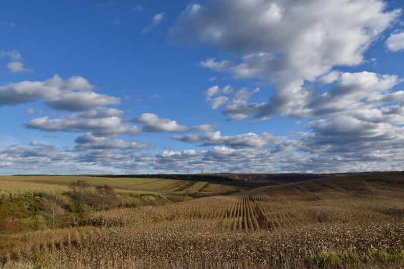 a field with a sky filled with clouds