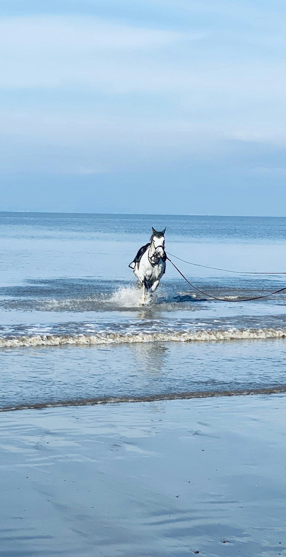 uma pessoa montando um cavalo através de um corpo de água