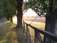 Farm fencing being installed along a rural property line with golden sunlight.