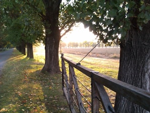 A professional installing a wooden fence panel in a residential garden on a sunny day.