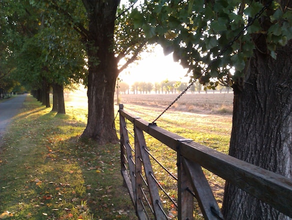 A friendly team member fixing a fence on a sunny farm.