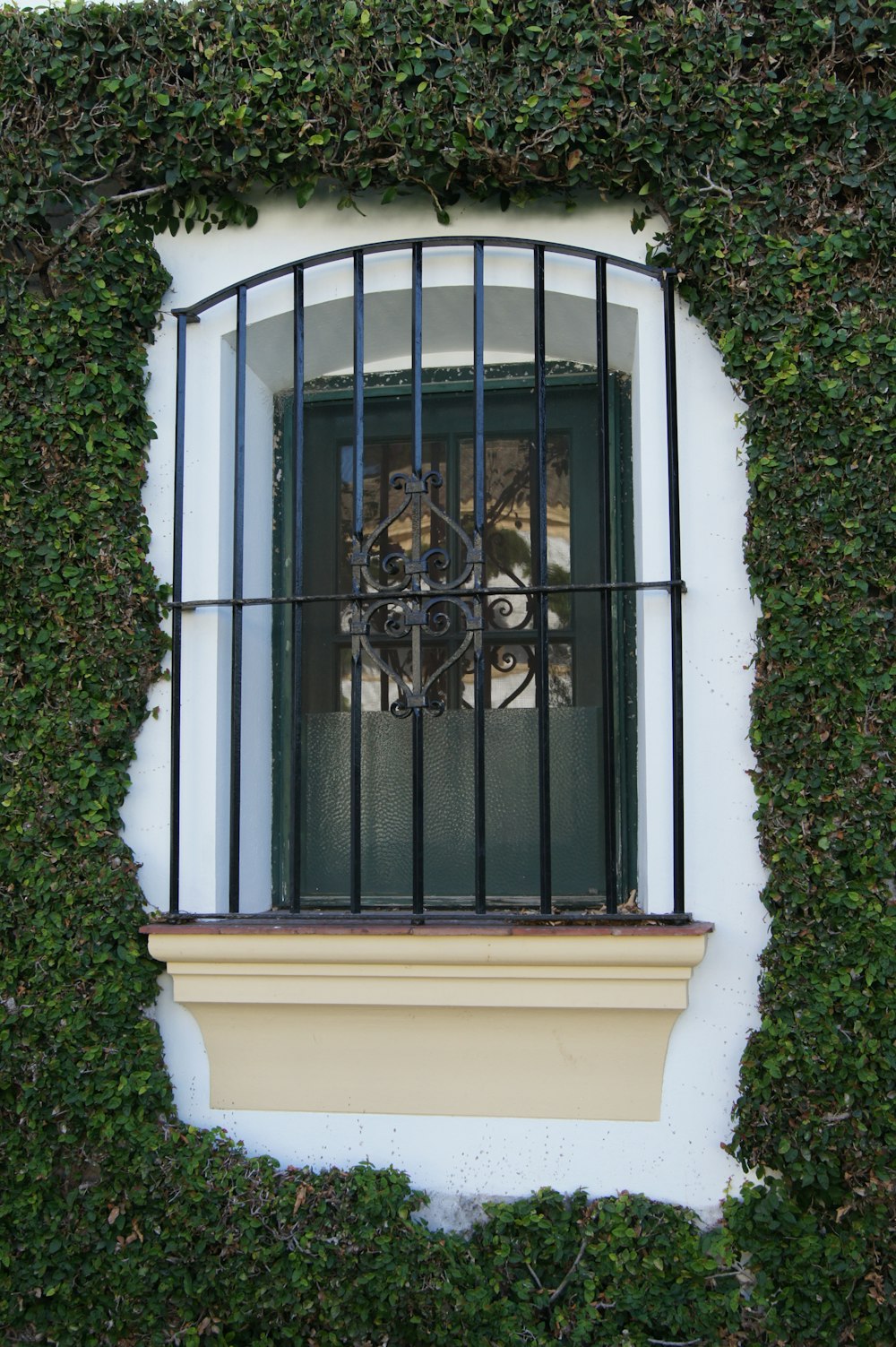 a window with bars and a dog in the window