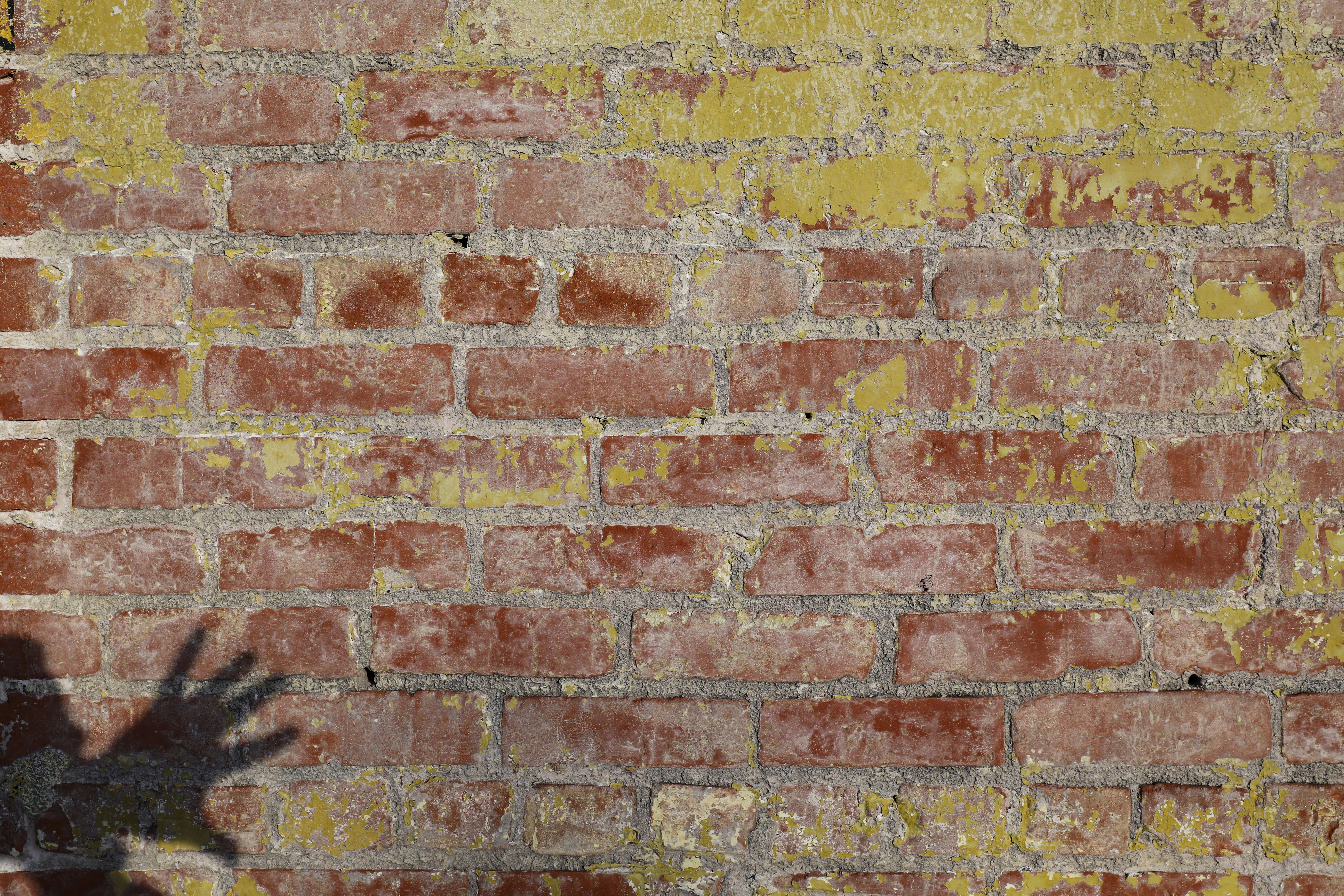 Photo by rocinante_11