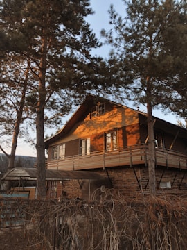 A fixer-upper home with potential, surrounded by trees and sunlight.