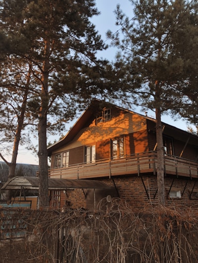A charming Texas ranch-style home bathed in warm afternoon sunlight, surrounded by mature oak trees.