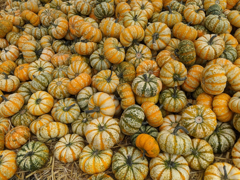 a pile of orange and green pumpkins sitting on top of hay