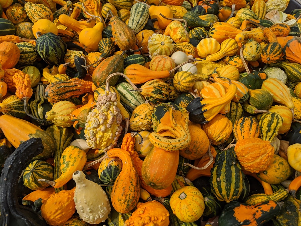 a pile of pumpkins and gourds are piled on top of each other