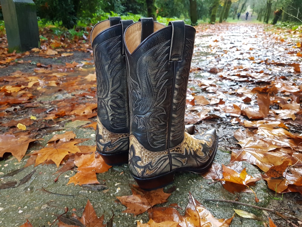 a pair of cowboy boots sitting on top of a leaf covered ground