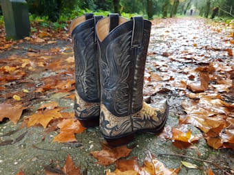 A pair of intricately designed cowboy boots lie on a path covered with fallen autumn leaves. The boots feature detailed stitching and patterns with a dark leather finish, and the leaves vary in shades of brown and orange.