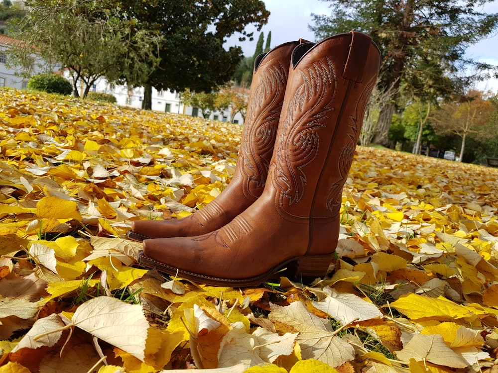 a pair of cowboy boots sitting on top of a pile of leaves